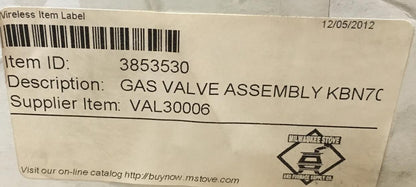 3/4" X 3/4" 24 VOLT REGULATED NATURAL GAS VALVE REPLACEMENT KIT FOR FLOOR STANDING "KNIGHT/ARMOUR" SERIES BOILERS/W DIN 43650 PLUG CONNECTOR AND 36" LEAD WIRES