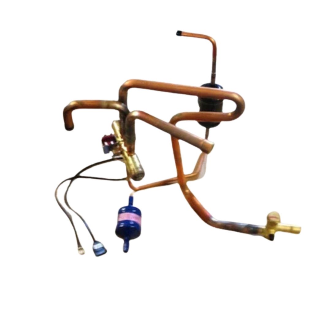 Heat Pump Reversing Valve w/Coil and Filter Driers, AC24V/50-60, 5/4W