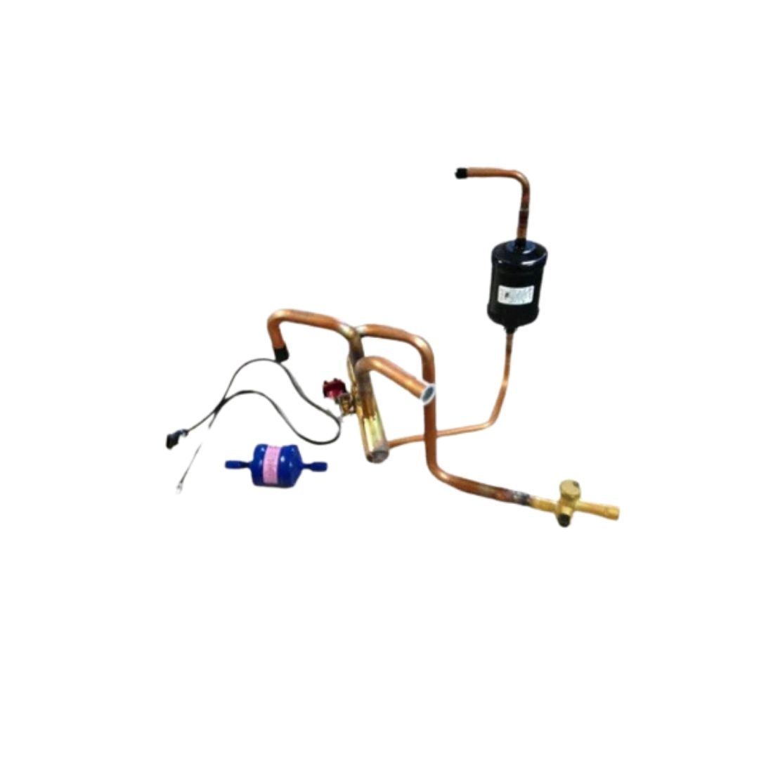 Heat Pump Reversing Valve w/Coil and Filter Drier, AC24V/50-60, 5/4W