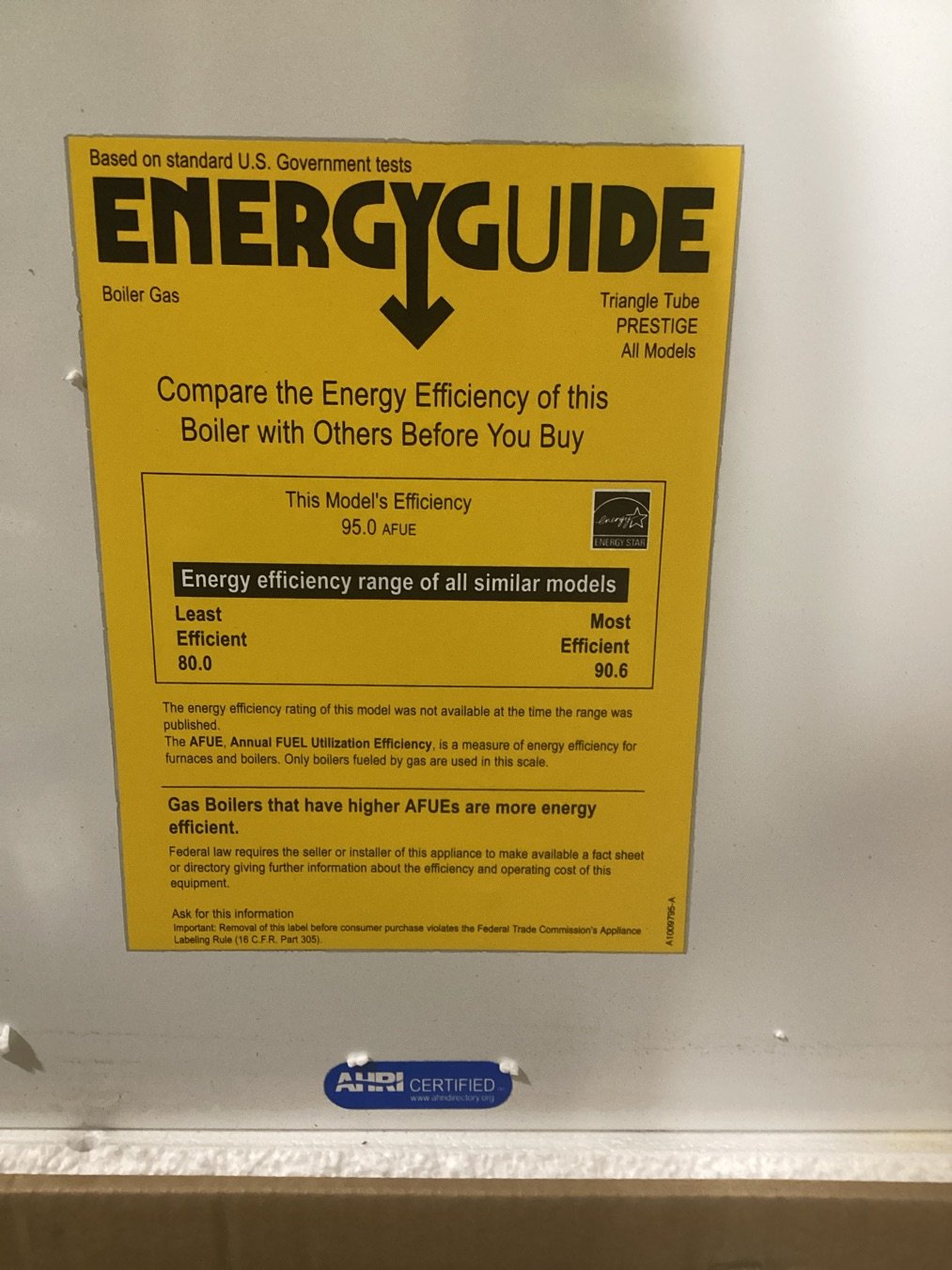 299,000 BTU Condensing Natural Gas Hot Water Boiler 95% AFUE, 120/60/1