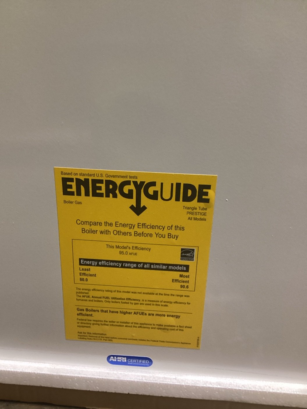 240,000 BTU Condensing Natural Gas Hot Water Boiler 95% AFUE, 120/60/1