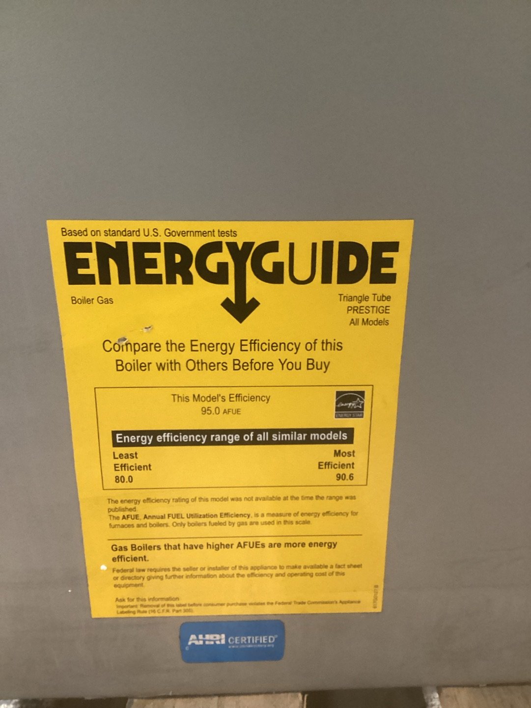 110,000 BTU Condensing Natural Gas Hot Water Boiler 96% AFUE, 120/60/1