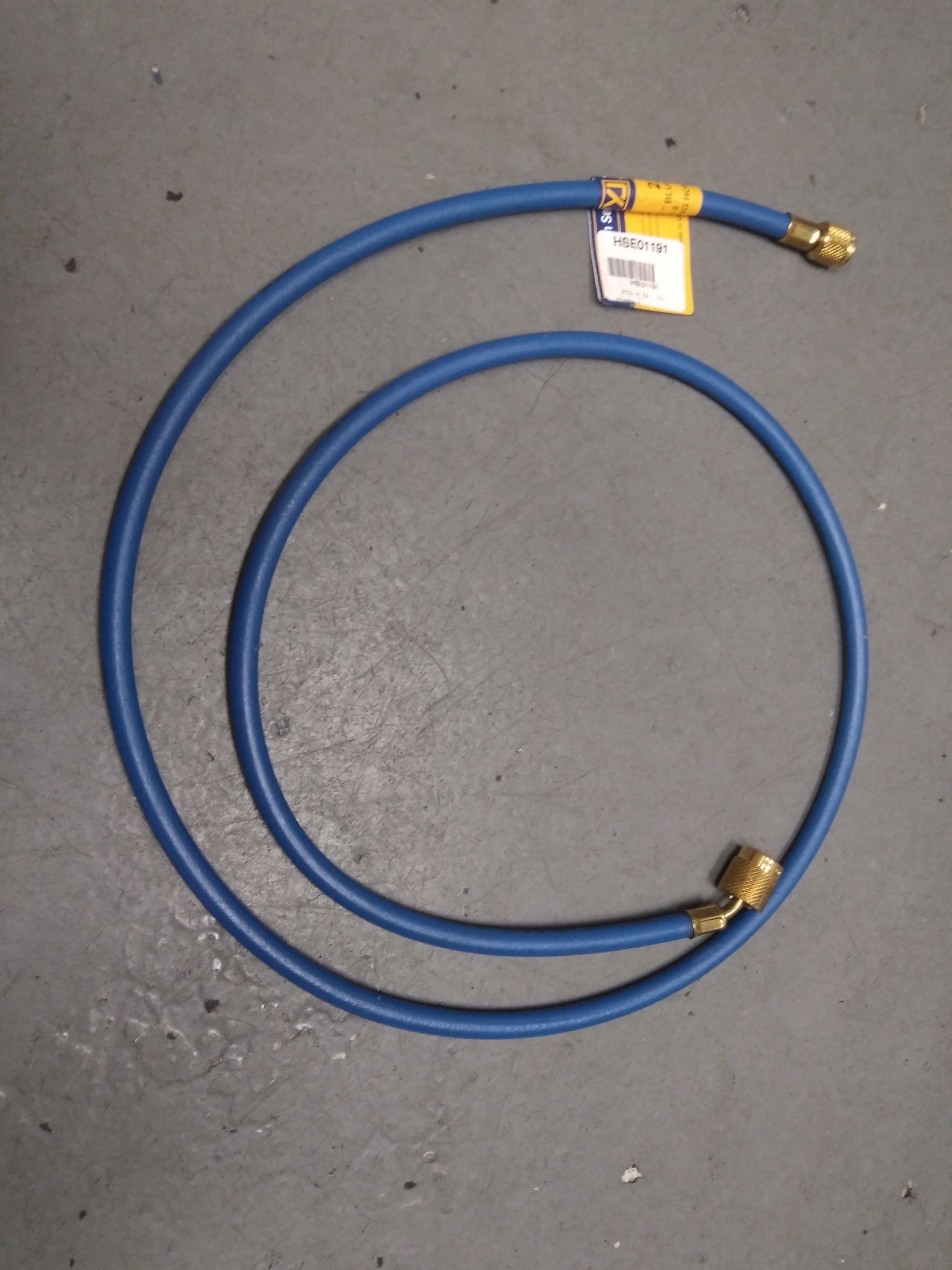 72" BLUE II 1/4" CHARGE HOSE