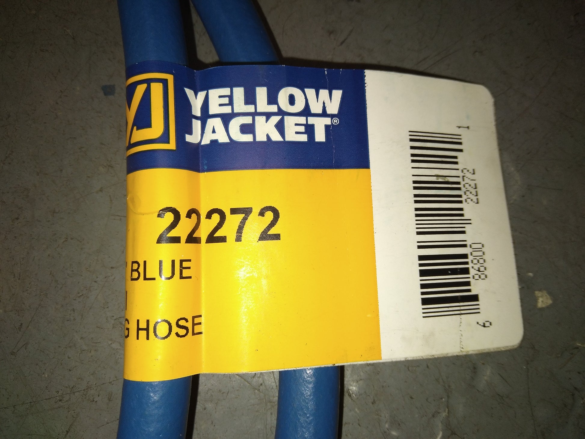 72" BLUE II 1/4" CHARGE HOSE