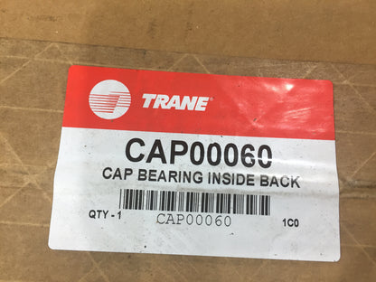 CAP BEARING INSIDE BACK 