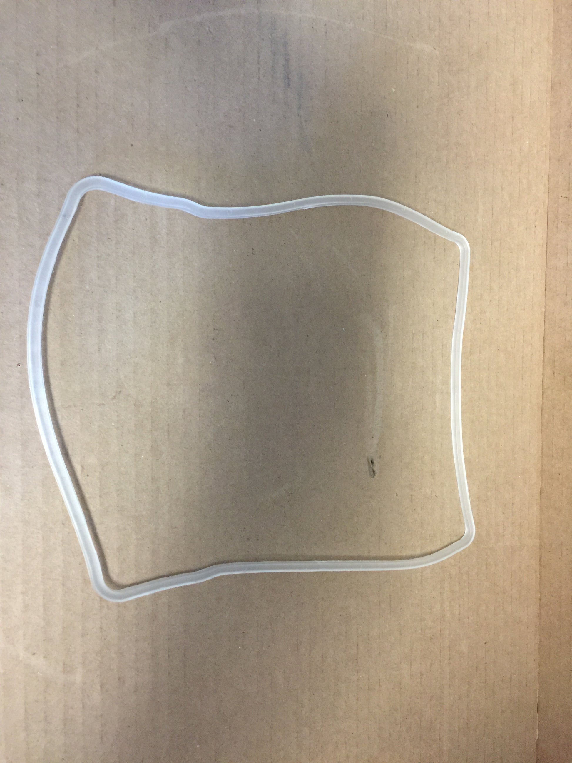 GASKET,  MOLDED, O RING EZVIEW/DYNAVIEW, 166 IN BOX