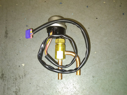 EEV ASSEMBLY WITH 12V COIL