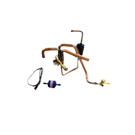 HEAT PUMP REVERSING VALVE W/COIL AND FILTER DRIER, AC24V/50-60 , 5/4W